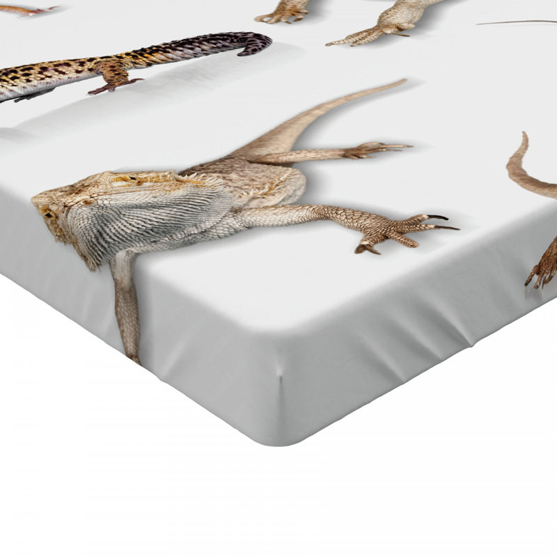East Urban Home Ambesonne Reptile Fitted Sheet, Colourful Staring